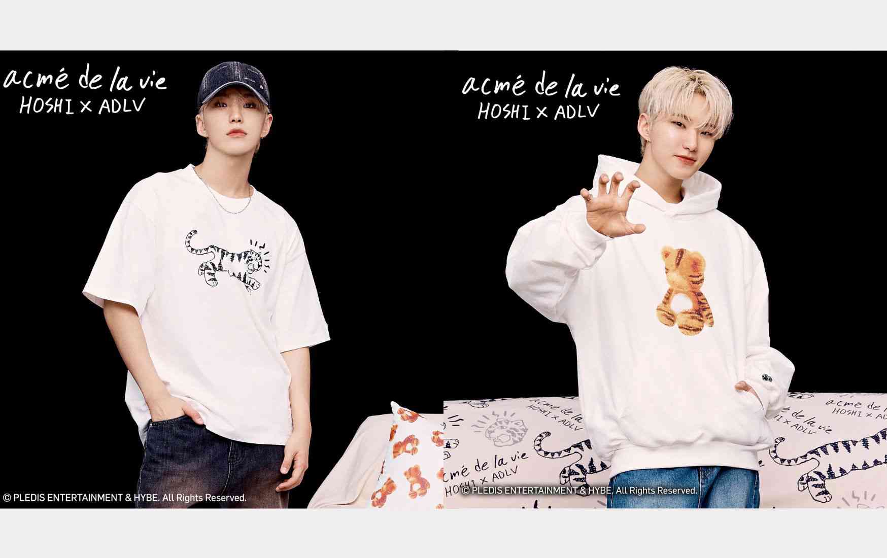 6 Must-Have Products from the ADLV X Hoshi ‘SEVENTEEN’ Collaboration!
