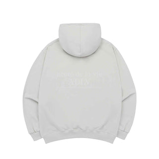 ADLV WORLD TOUR HOODIE GREY