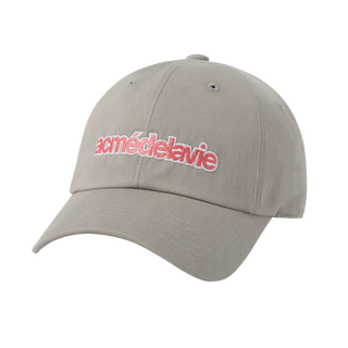 TWO COLOR EMBROIDERY BASIC BALL CAP GRAY