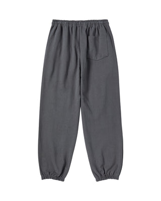 AC BEAR STATUE OF LIBERTY PANTS CHARCOAL