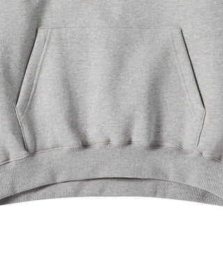 3D STAND AC BEAR NAPPING HOODIE MELANGE