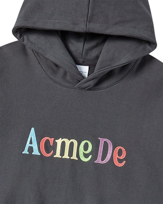 COLOR LOGO HOODIE CHARCOAL