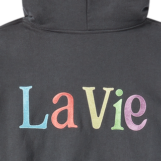 COLOR LOGO HOODIE CHARCOAL