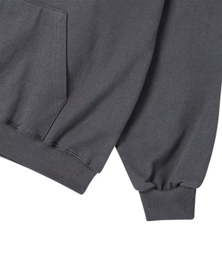 COLOR LOGO HOODIE CHARCOAL