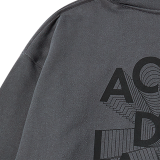 3D LOGO HOODIE CHARCOAL