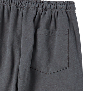 AC BEAR STATUE OF LIBERTY PANTS CHARCOAL